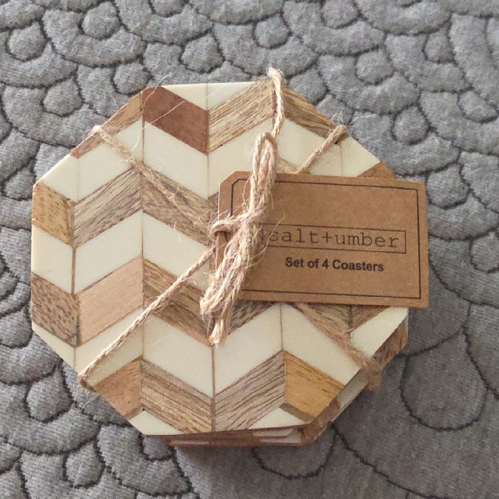 Salt + Umber Chevron Coasters Set